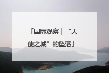 国际观察｜“天使之城”的坠落