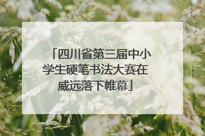 四川省第三届中小学生硬笔书法大赛在威远落下帷幕