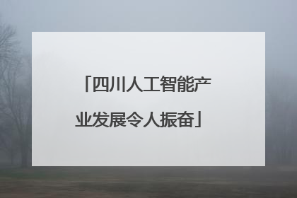 四川人工智能产业发展令人振奋