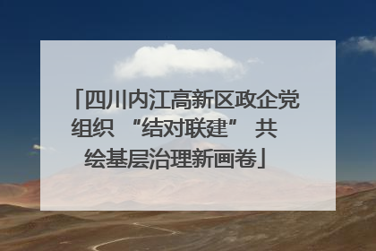 四川内江高新区政企党组织 “结对联建” 共绘基层治理新画卷
