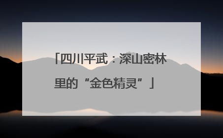 四川平武：深山密林里的“金色精灵”