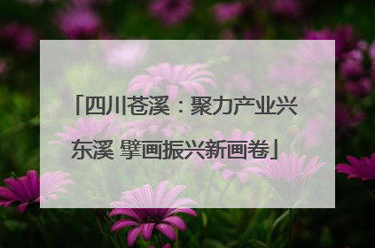 四川苍溪：聚力产业兴东溪 擘画振兴新画卷