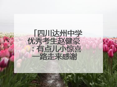 四川达州中学优秀考生赵健豪：有点儿小惊喜 一路走来感谢这么多人关爱