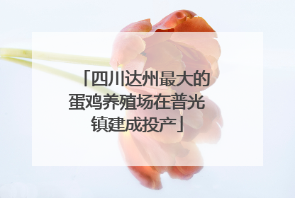 四川达州最大的蛋鸡养殖场在普光镇建成投产