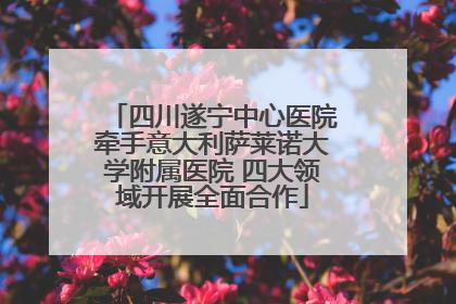 四川遂宁中心医院牵手意大利萨莱诺大学附属医院 四大领域开展全面合作