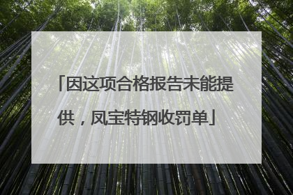 因这项合格报告未能提供，凤宝特钢收罚单