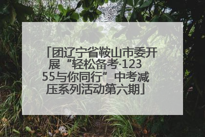 团辽宁省鞍山市委开展“轻松备考·12355与你同行”中考减压系列活动第六期