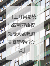 土耳其总统与叙利亚政权领导人就双边关系等举行会谈