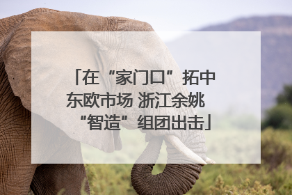 在“家门口”拓中东欧市场 浙江余姚“智造”组团出击