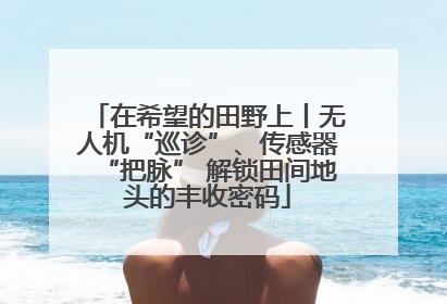 在希望的田野上丨无人机“巡诊”、传感器“把脉” 解锁田间地头的丰收密码
