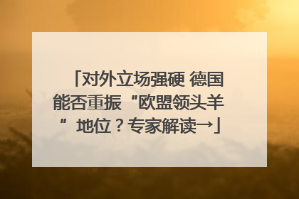 对外立场强硬 德国能否重振“欧盟领头羊”地位？专家解读→