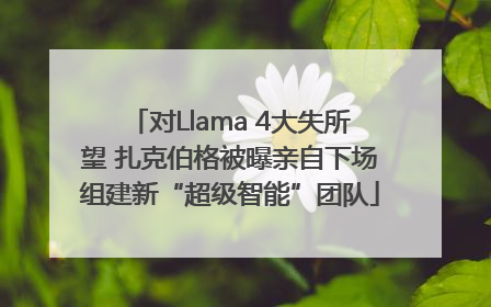 对Llama 4大失所望 扎克伯格被曝亲自下场组建新“超级智能”团队
