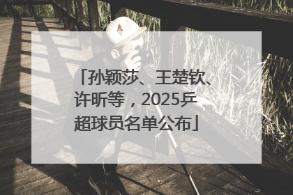 孙颖莎、王楚钦、许昕等，2025乒超球员名单公布