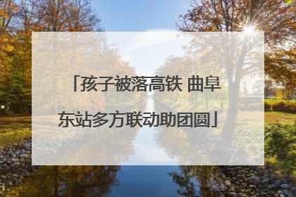 孩子被落高铁 曲阜东站多方联动助团圆