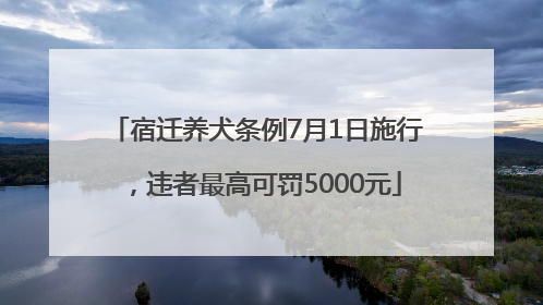 宿迁养犬条例7月1日施行，违者最高可罚5000元