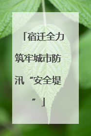 宿迁全力筑牢城市防汛“安全堤”