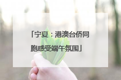 宁夏：港澳台侨同胞感受端午氛围