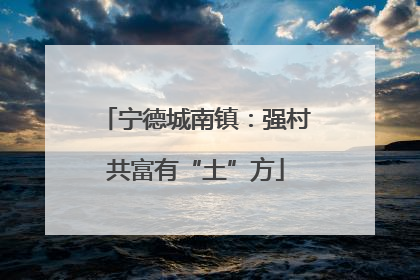 宁德城南镇：强村共富有“土”方