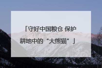 守好中国粮仓 保护耕地中的“大熊猫”