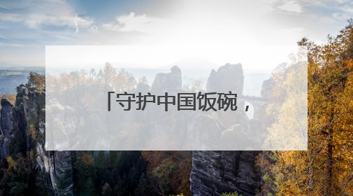 守护中国饭碗，粮食流通领域“黑科技”上新