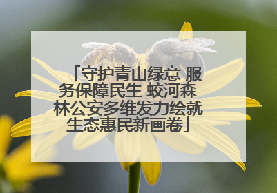 守护青山绿意 服务保障民生 蛟河森林公安多维发力绘就生态惠民新画卷