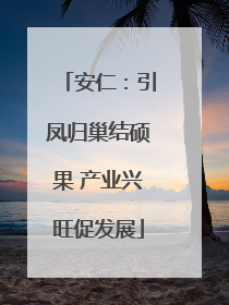 安仁：引凤归巢结硕果 产业兴旺促发展