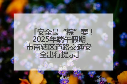 安全最“粽”要！2025年端午假期市南辖区道路交通安全出行提示