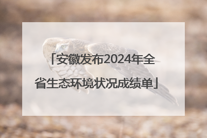 安徽发布2024年全省生态环境状况成绩单