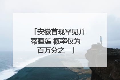 安徽首现罕见并蒂睡莲 概率仅为百万分之一