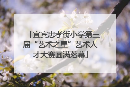 宜宾忠孝街小学第三届“艺术之星”艺术人才大赛圆满落幕