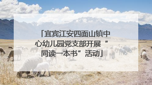 宜宾江安四面山镇中心幼儿园党支部开展“同读一本书”活动