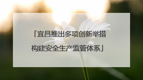 宜昌推出多项创新举措 构建安全生产监管体系