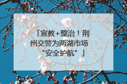宣教+整治！荆州交警为两湖市场“安全护航”