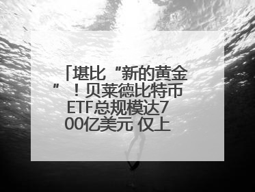 堪比“新的黄金”！贝莱德比特币ETF总规模达700亿美元 仅上市一年多