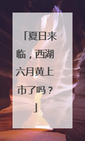 夏日来临，西湖六月黄上市了吗？