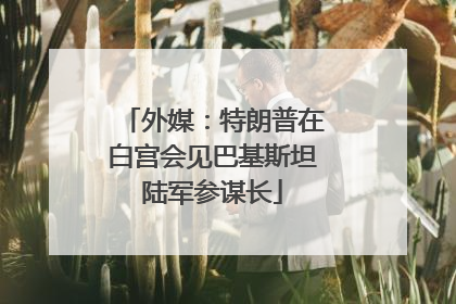 外媒：特朗普在白宫会见巴基斯坦陆军参谋长