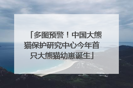 多图预警！中国大熊猫保护研究中心今年首只大熊猫幼崽诞生