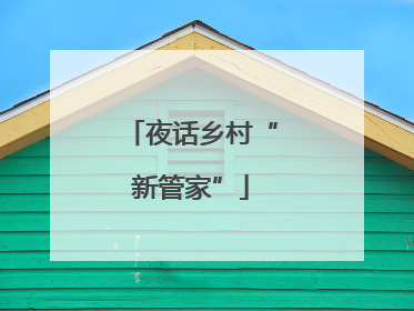 夜话乡村“新管家”