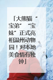 大熊猫“宝弟”“宝妹”正式亮相温州动物园！对本地美食情有独钟