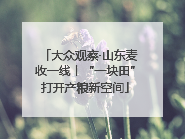 大众观察·山东麦收一线丨“一块田”打开产粮新空间