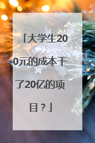 大学生200元的成本干了20亿的项目？