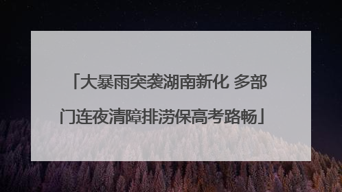 大暴雨突袭湖南新化 多部门连夜清障排涝保高考路畅
