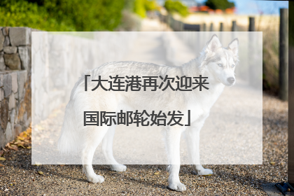 大连港再次迎来国际邮轮始发