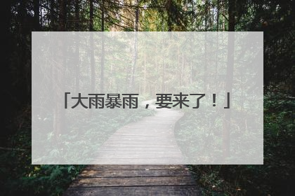 大雨暴雨，要来了！