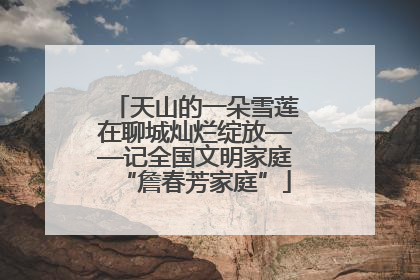 天山的一朵雪莲在聊城灿烂绽放——记全国文明家庭“詹春芳家庭”