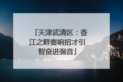 天津武清区：香江之畔奏响招才引智奋进强音