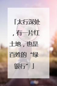 太行深处，有一片红土地，也是百姓的“绿银行”