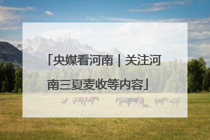 央媒看河南｜关注河南三夏麦收等内容