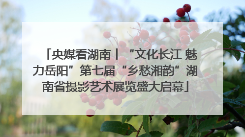 央媒看湖南丨“文化长江 魅力岳阳”第七届“乡愁湘韵”湖南省摄影艺术展览盛大启幕