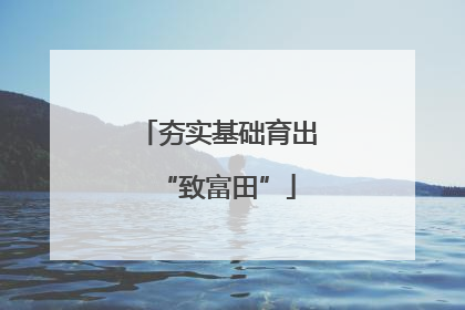 夯实基础育出“致富田”